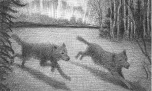 Illustration-by-Brian-Sel-007