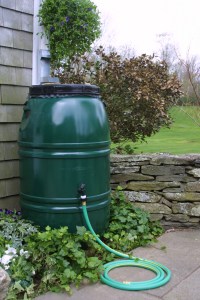 rain-barrel-pics-greem
